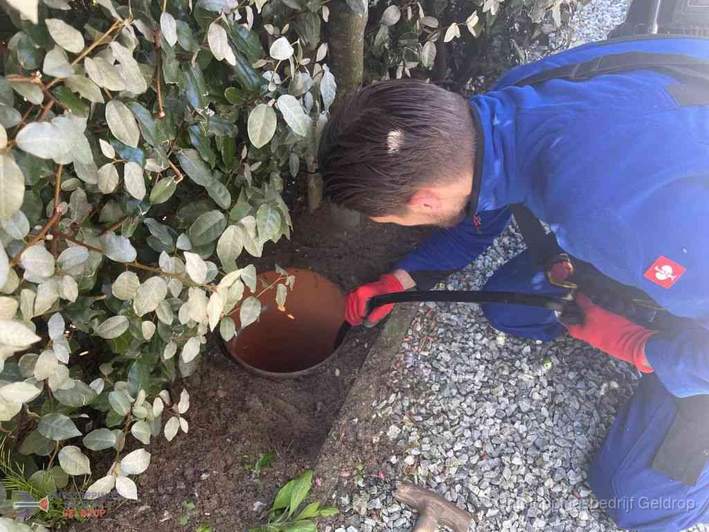 Rioolvliegjes Geldrop Rioolvliegjes Geldrop